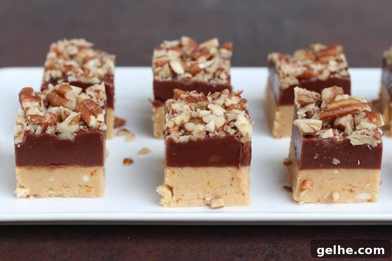 Chocolate Pumpkin Fudge with Pecan Crunch Recipe 5 Pumpkin Chocolate Fudge {Spoonful of Flavor}