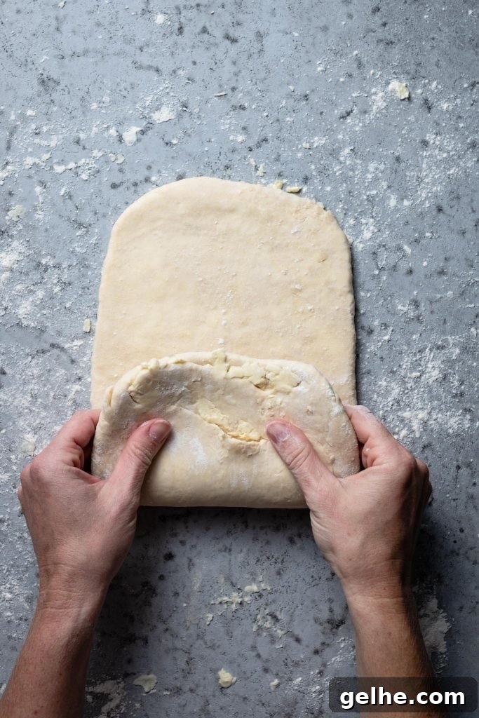 How to Make Rough Puff Pastry at Home – Flaky, Quick Recipe 28 Homemade Rough Puff Pastry | variations