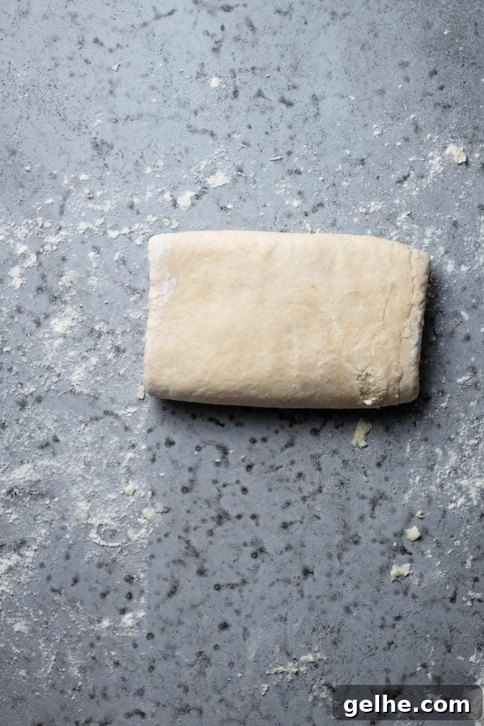 How to Make Rough Puff Pastry at Home – Flaky, Quick Recipe 30 Homemade Rough Puff Pastry | tips