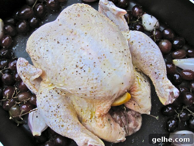 Uncooked whole chicken with grapes in a roasting pan.