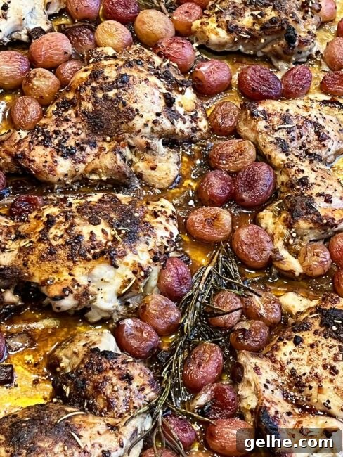 Tray bake with chicken thighs and roasted grapes.