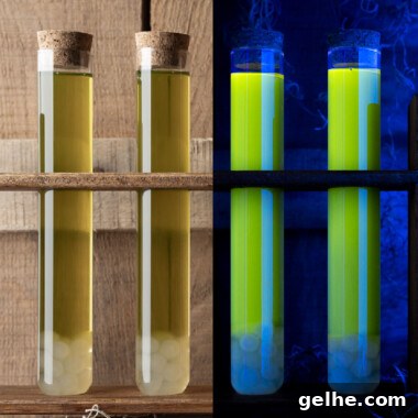 square image of black light swamp water shots half regular and half under black light