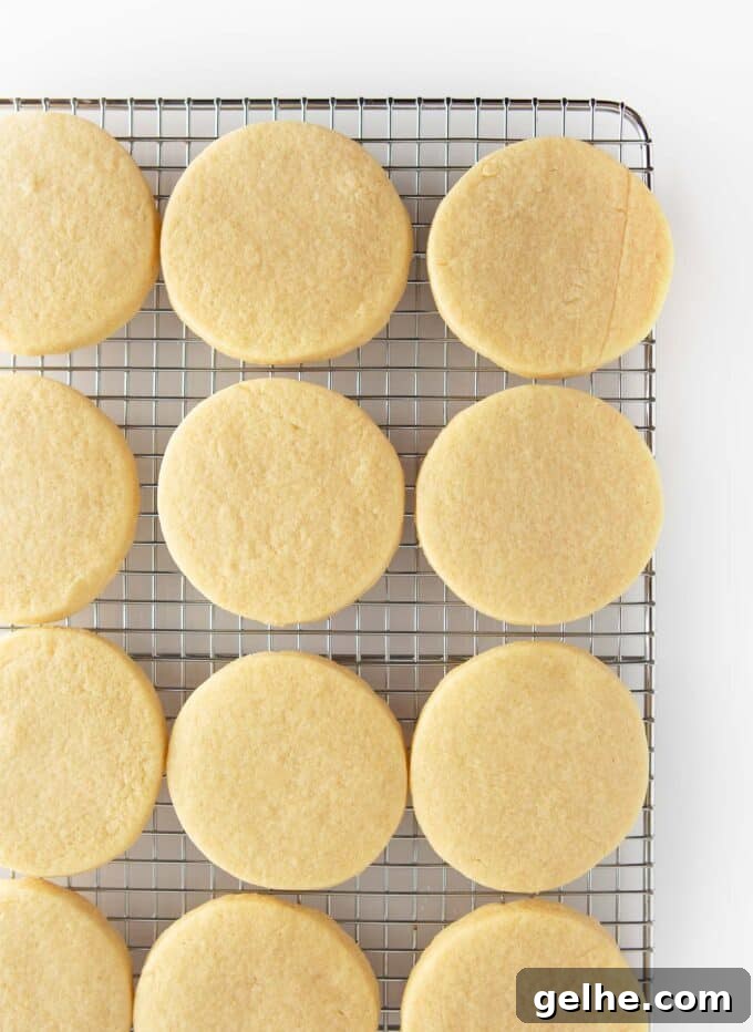 unfrosted round sugar cookies on cooling rack