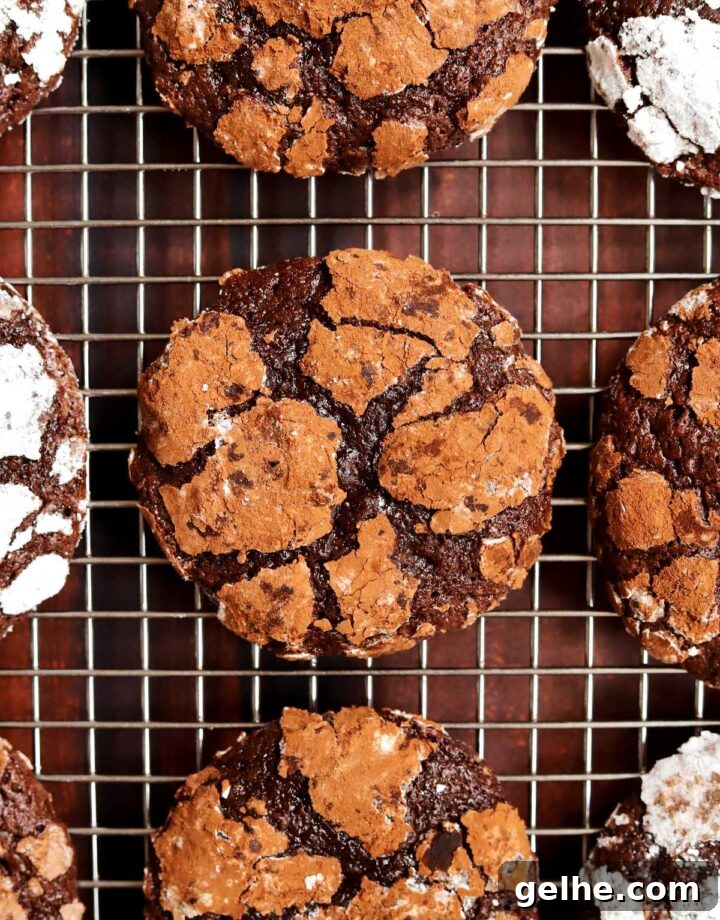 double chocolate crinkle cookies on cooling rack focus on cocoa crinkle