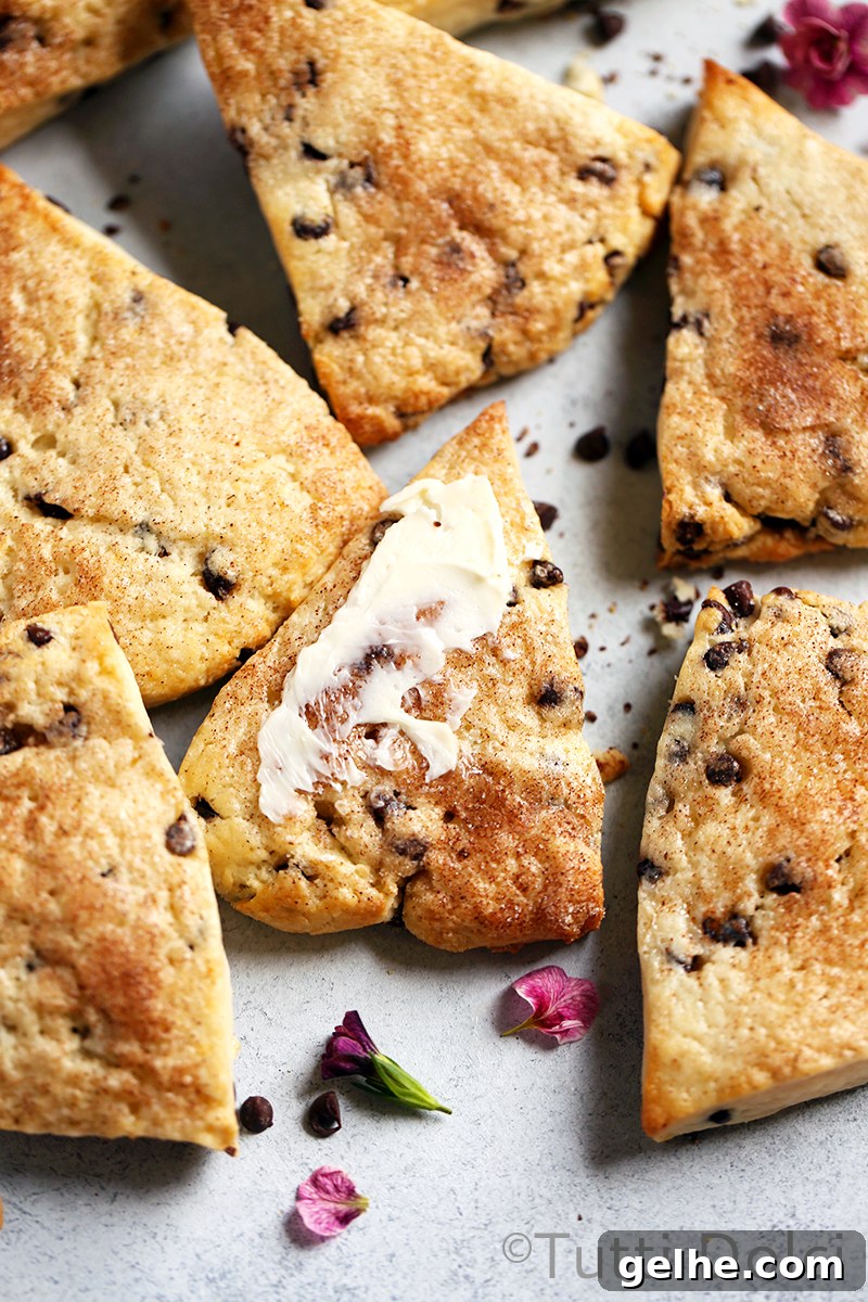 Easy Chocolate Chip Scones Recipe for Flaky, Buttery Treats 3 Chocolate Chip Cream Scones