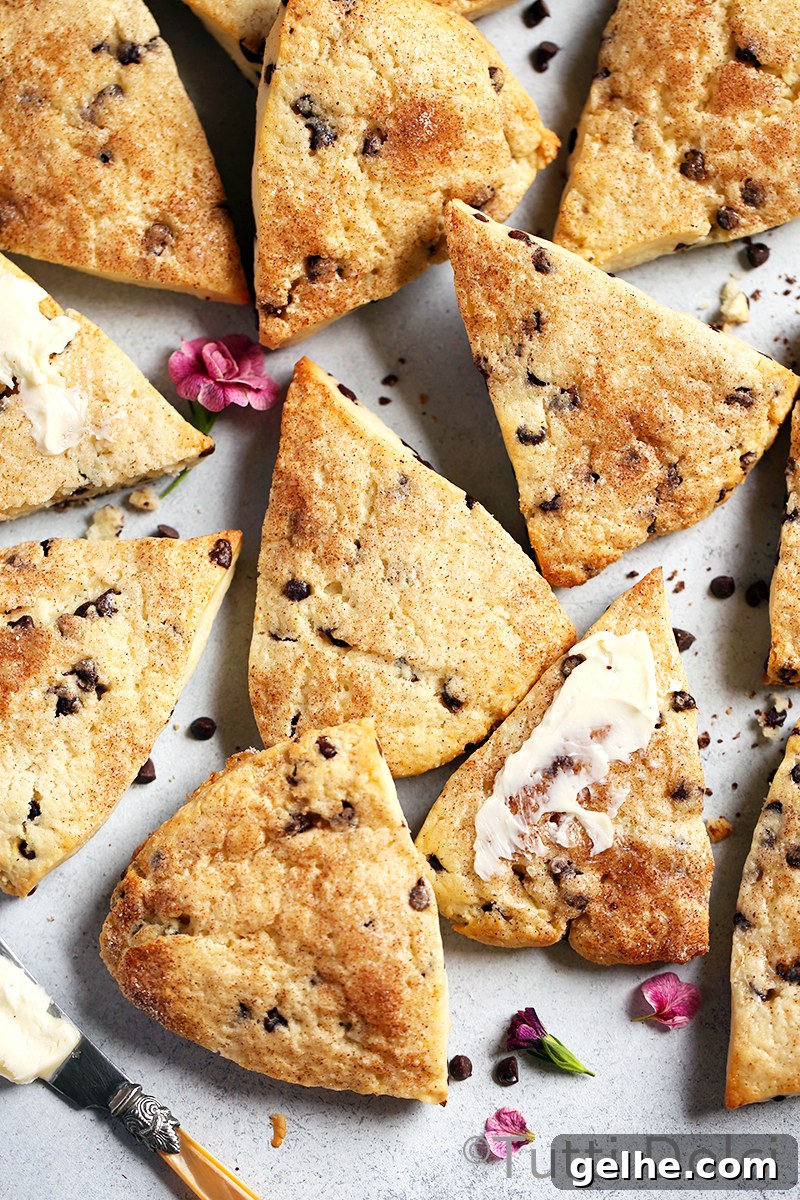 Easy Chocolate Chip Scones Recipe for Flaky, Buttery Treats 4 Chocolate Chip Cream Scones