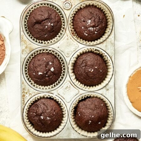 Chocolate Banana Muffins with Cocoa Swirls 14 img 2995 13