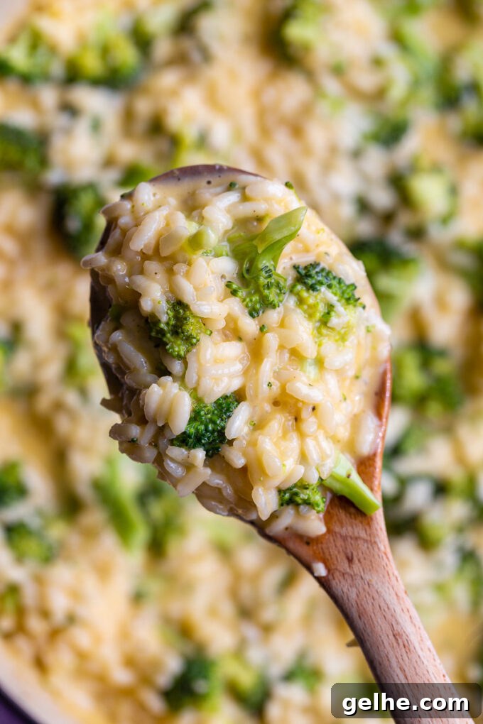 Wooden spoonful of cheesy risotto.
