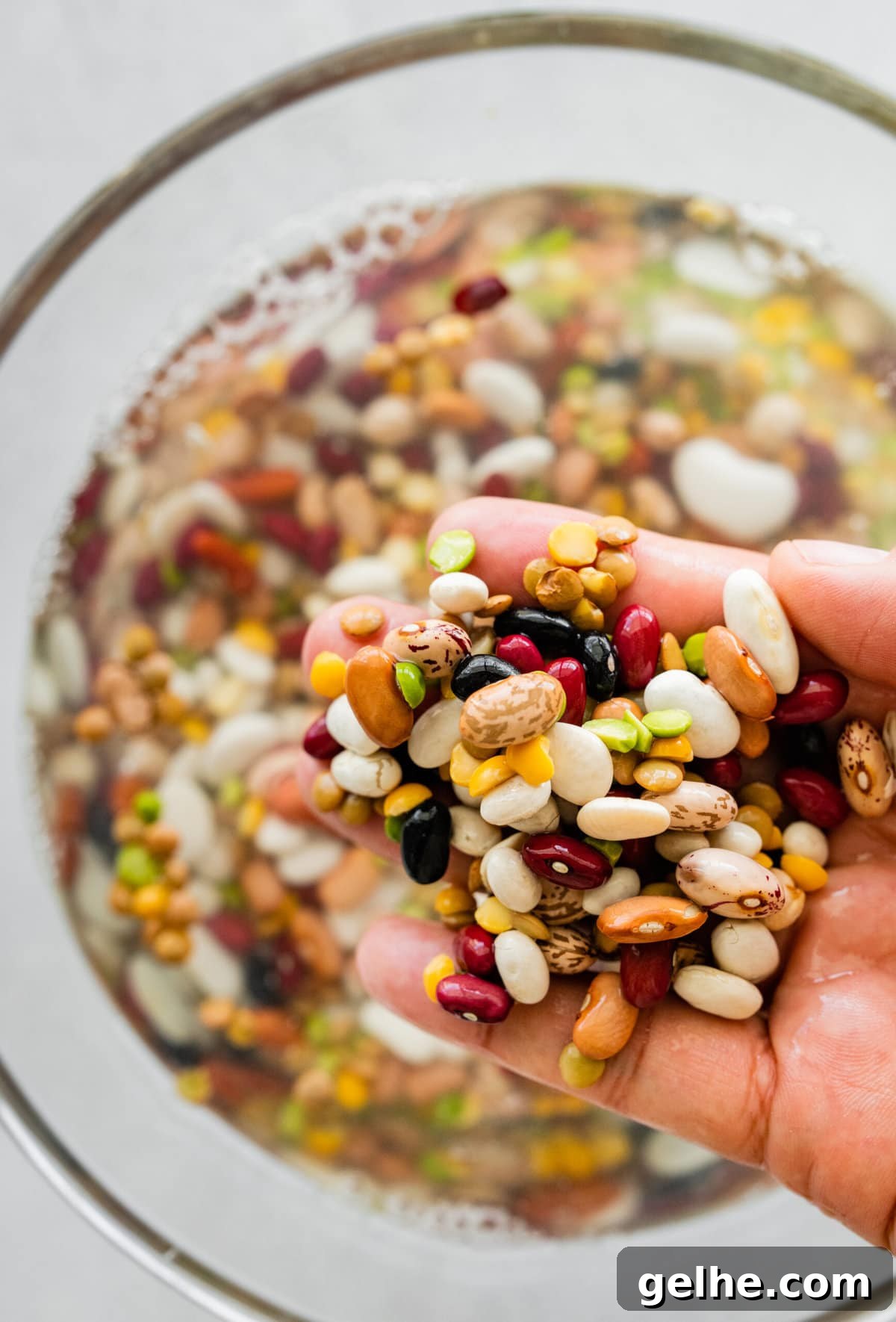 15 bean soup mix- ingredient shot of soaked beans.