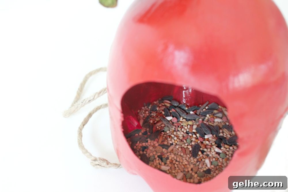 Pop bottle bird feeder