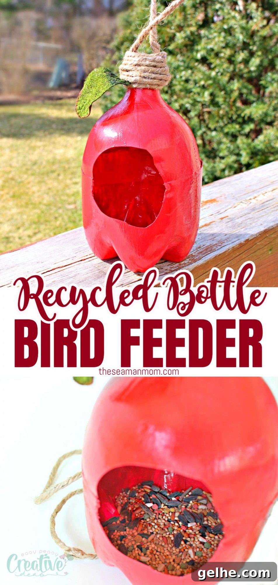 A photo collage of a red bird feeder made from recycled plastic bottle and shaped like an apple, filled with mixed seeds