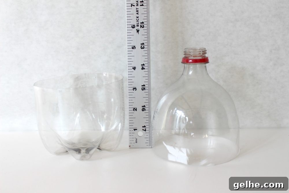 bottle bird feeder