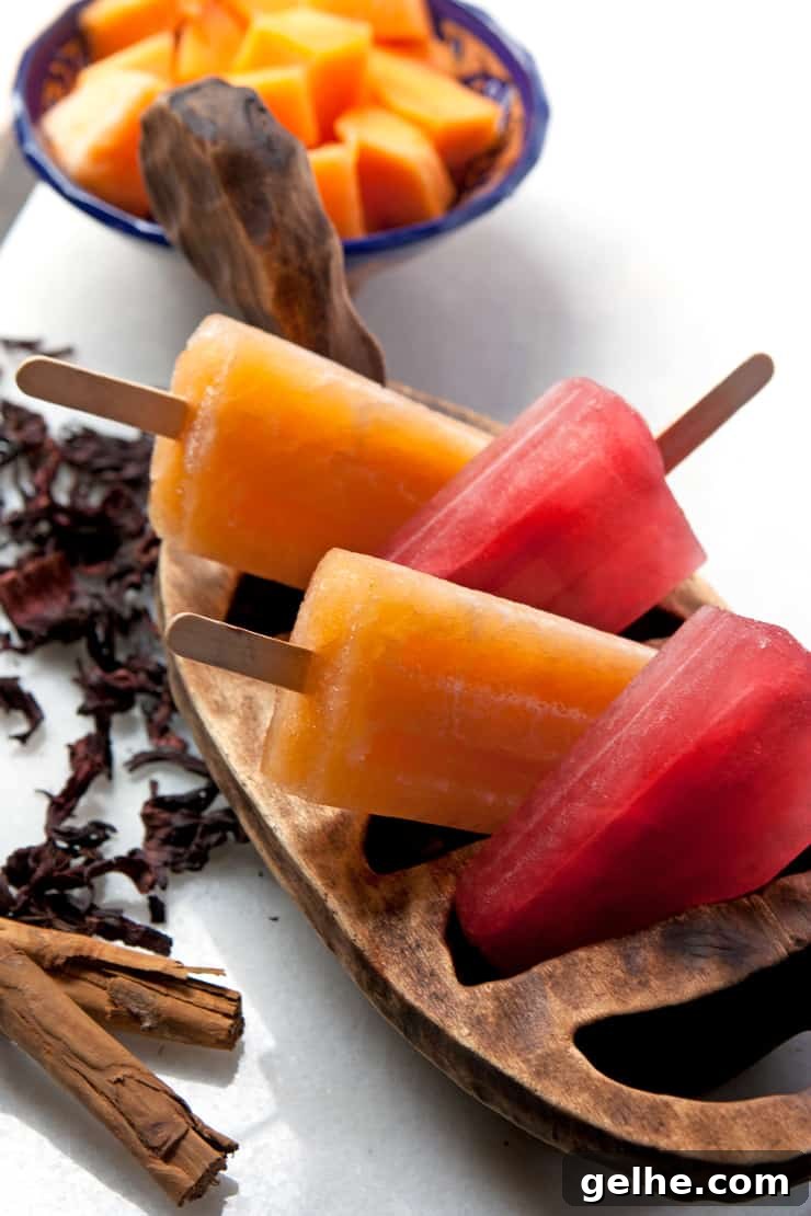 Hibiscus & Cinnamon Popsicles and Refreshing Cantaloupe Popsicles 2 img 30479 1
