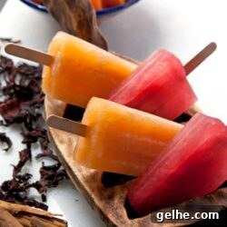 Hibiscus & Cinnamon Popsicles and Refreshing Cantaloupe Popsicles 4 img 30479 3