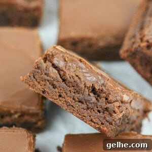 School Cafeteria Brownies Recipe
