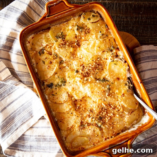 17 Delicious Vegetarian Easter Dinner Ideas for a Memorable Feast 7 Potato Gratin with poblano peppers, topped with breadcrumbs, fresh from the oven.