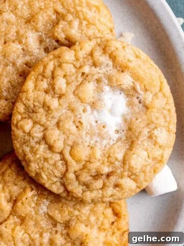 A plate of marshmallow crispy cookies.