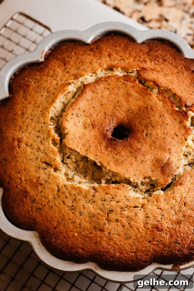 Moist Lemon Poppy Seed Bundt Cake Recipe with Zesty Glaze 10 The baked cake cooling in the pan.
