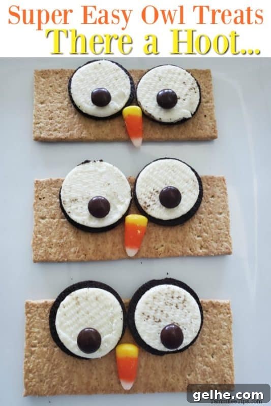 Graham Cracker Owl Treats — Step-by-Step Video Tutorial 2 Owl Graham Crackesr on a white plate