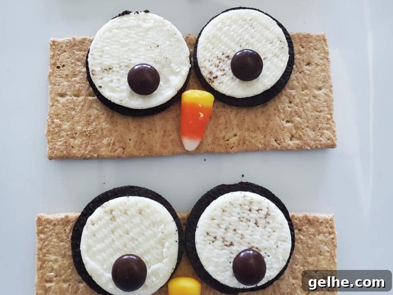 Graham Cracker Owl Treats — Step-by-Step Video Tutorial 4 Owl faces on graham crackers