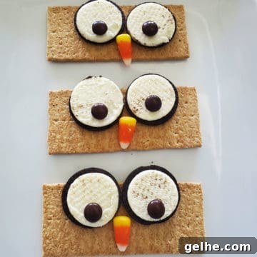 Graham Cracker Owls on a white platter