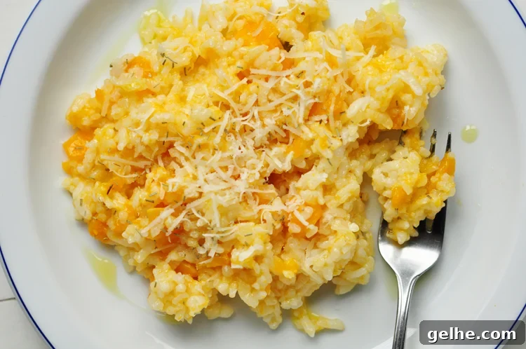 Butternut Squash Risotto