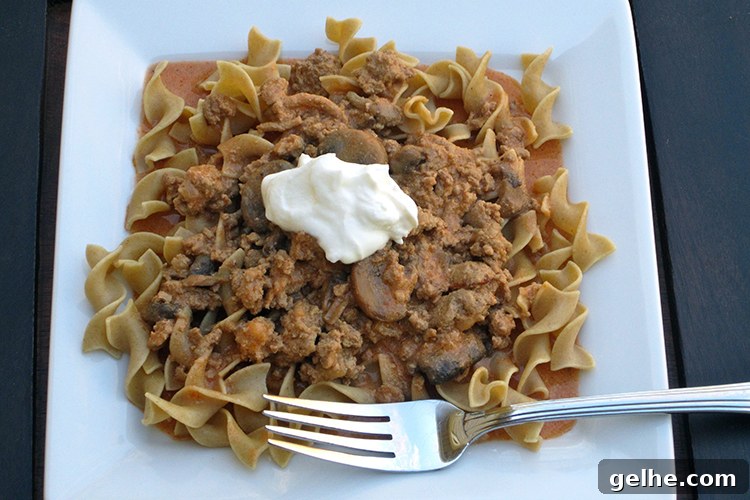 Turkey Stroganoff