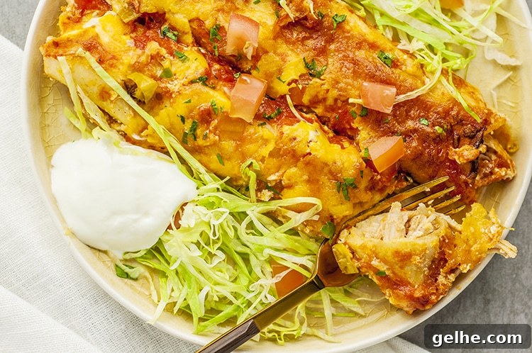 Chicken Enchiladas
