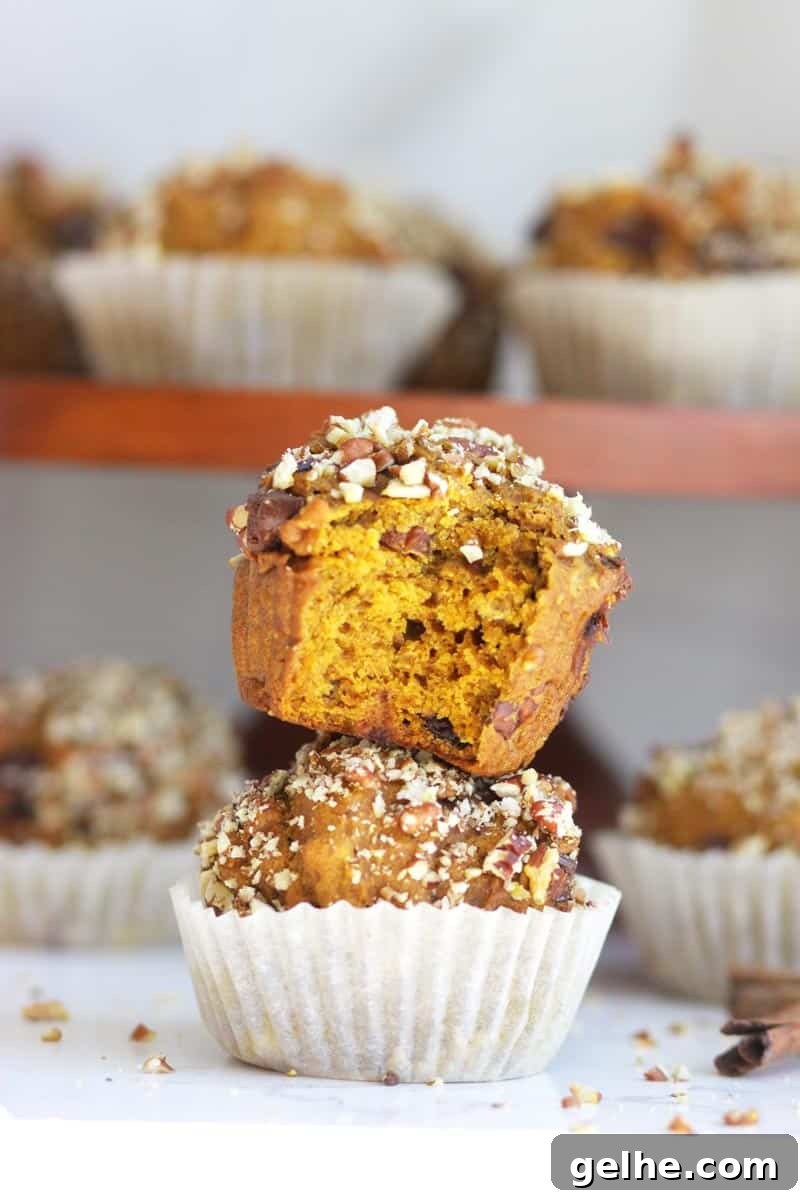 Chocolate Chip Pumpkin Muffins with Wholesome Ingredients 2 pumpkin muffins with chopped pecans on top and chocolate chips