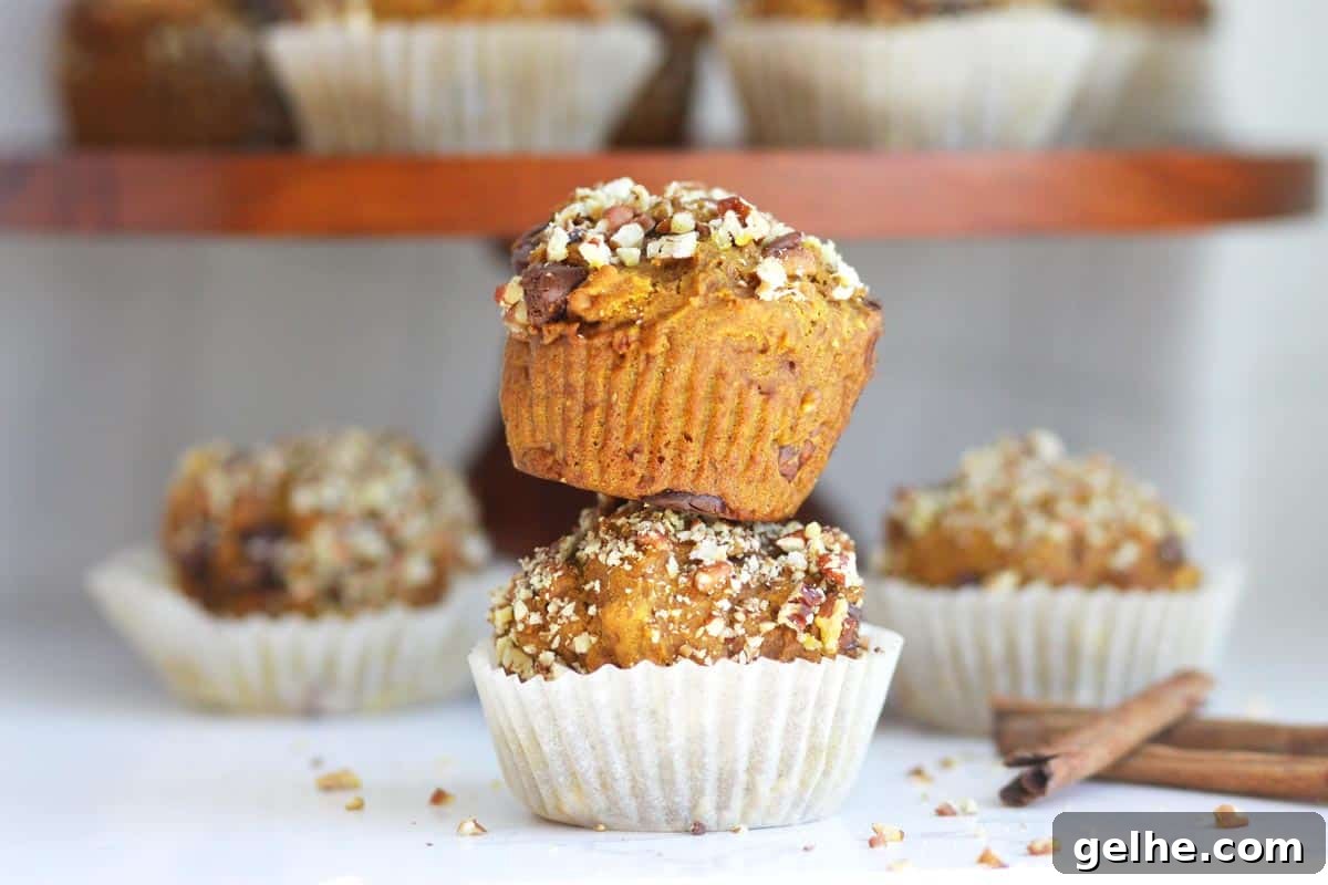Chocolate Chip Pumpkin Muffins with Wholesome Ingredients 3 pumpkin muffins with chopped pecans on top and chocolate chips