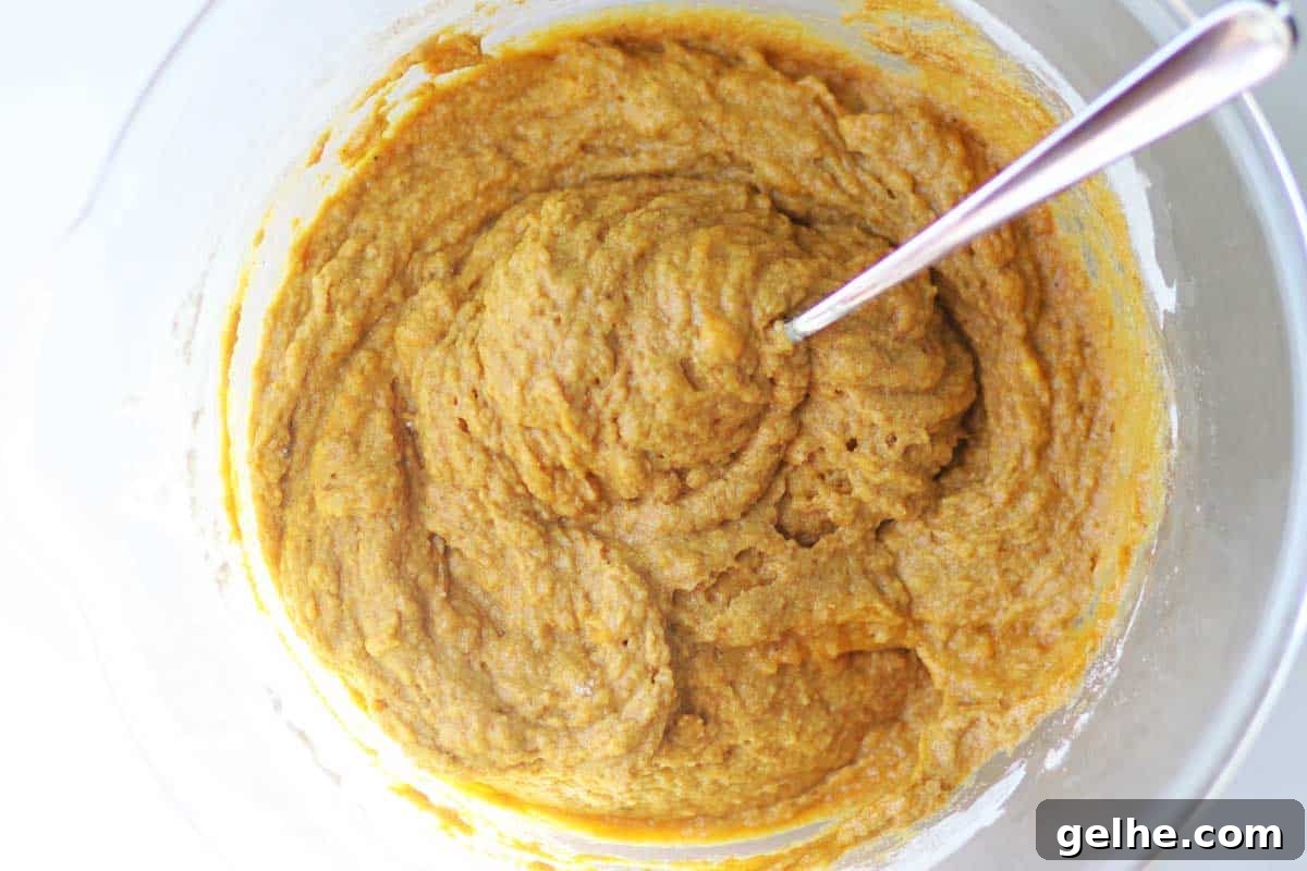 Chocolate Chip Pumpkin Muffins with Wholesome Ingredients 6 pumpkin muffin batter