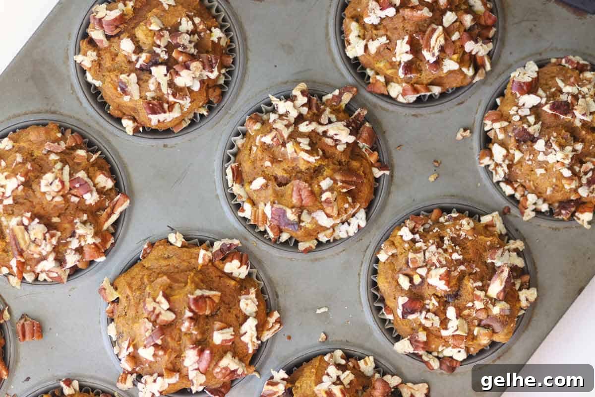 Chocolate Chip Pumpkin Muffins with Wholesome Ingredients 8 pumpkin muffins with chopped pecans in a muffin tin