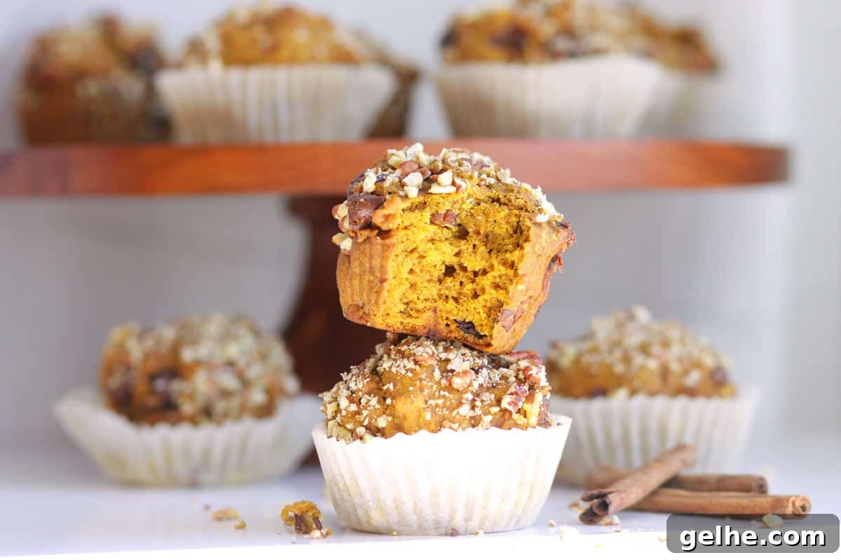 Chocolate Chip Pumpkin Muffins with Wholesome Ingredients 9 pumpkin muffins with chopped pecans on top and chocolate chips