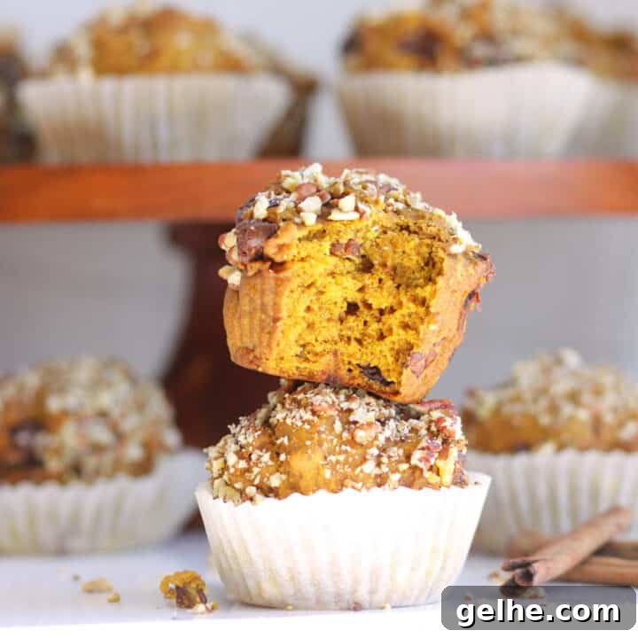 pumpkin muffins with chopped pecans on top and chocolate chips