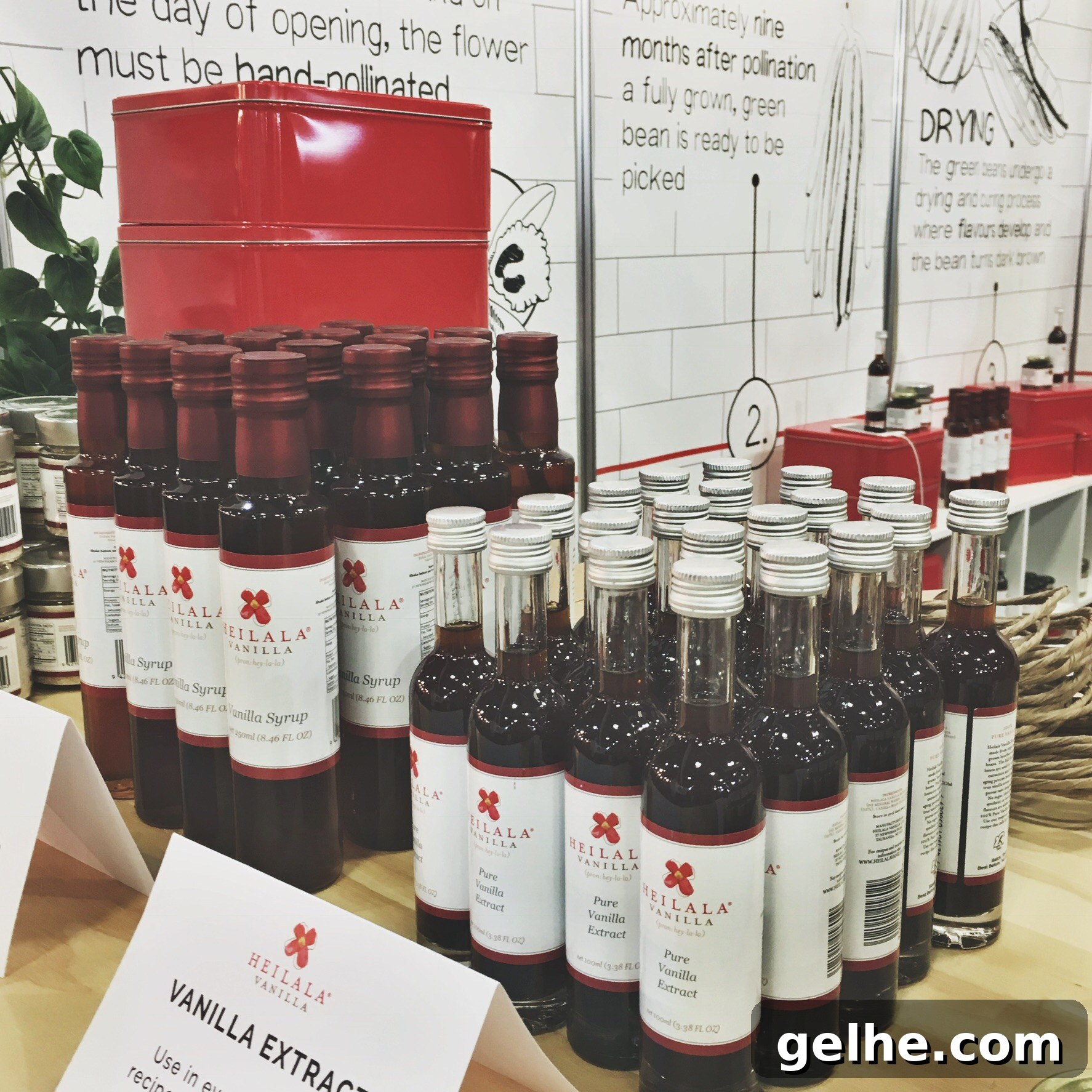 Auckland Food Show 2017: Highlights, Exhibitors & Top Eats 6 img 395 5