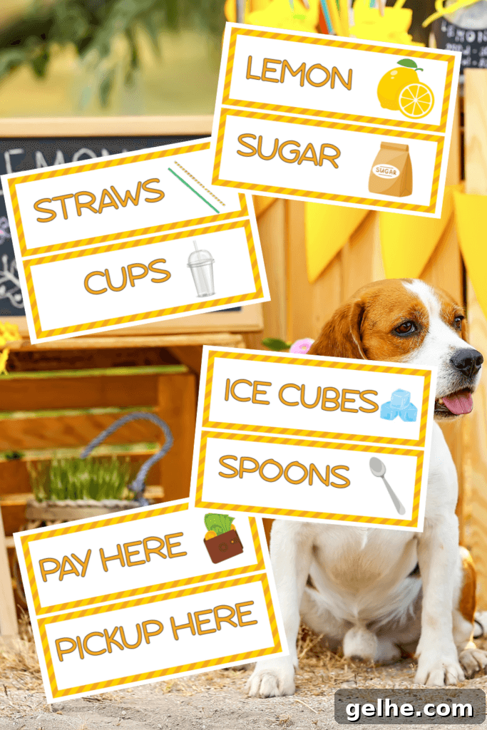 Free Preschool Pretend Play Lemonade Stand Printable Pack 6 Lemonade Stand signs