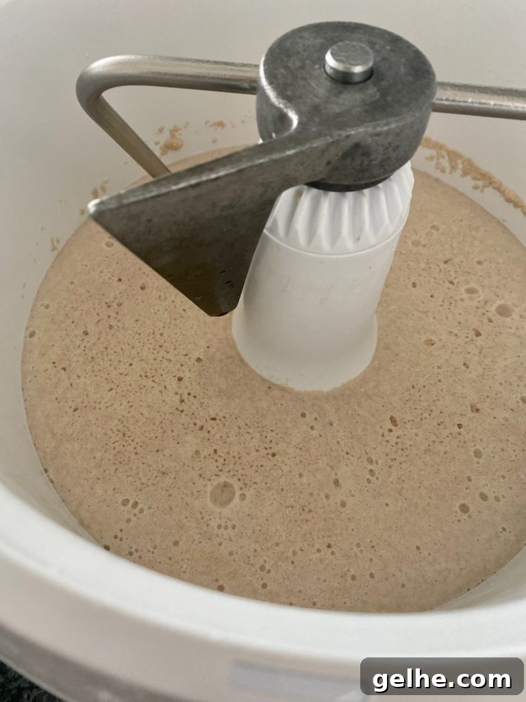 proofing yeast for bread