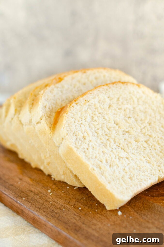 white sandwich bread dough