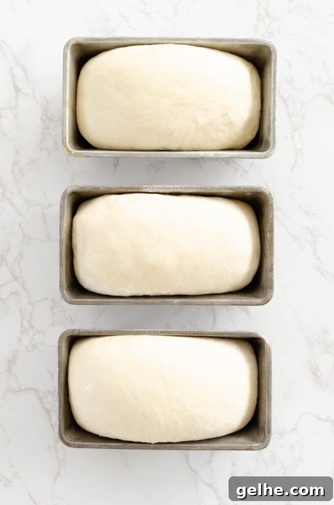shaping bread dough