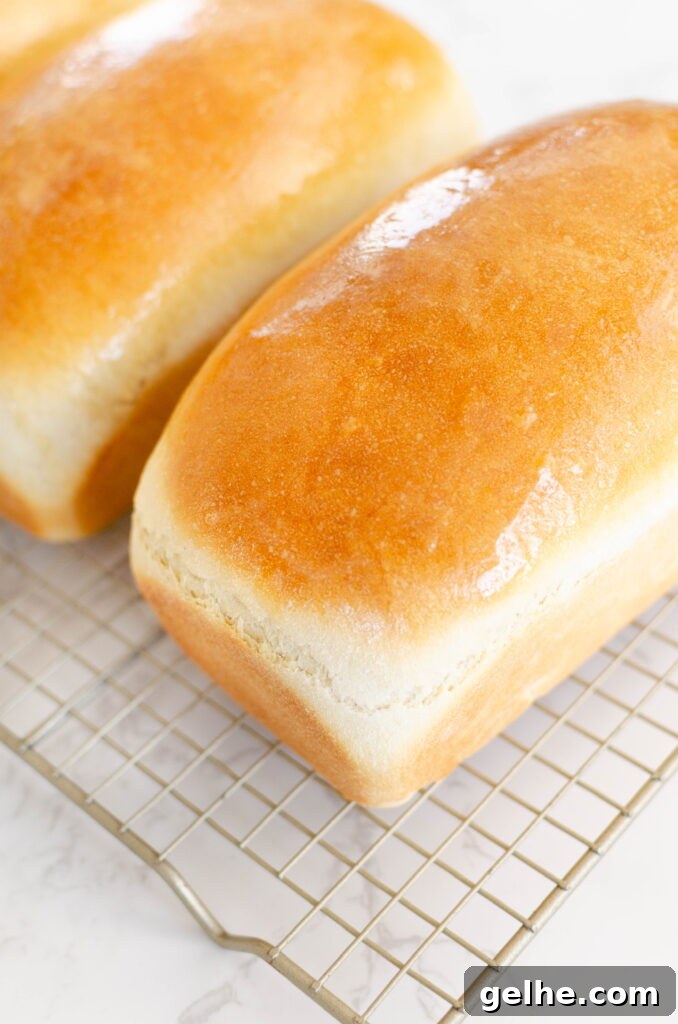 freshly baked white sandwich bread