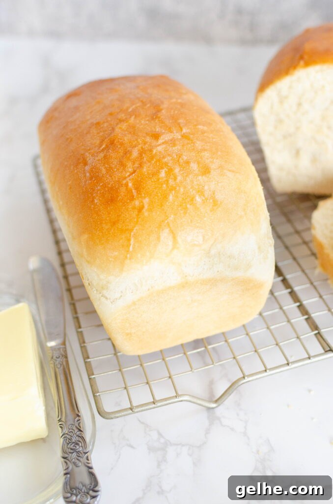 measuring flour for bread