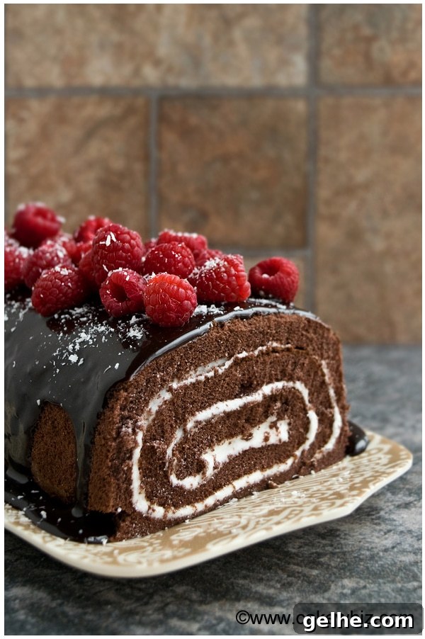 Chocolate Cake Roll with Chocolate Ganache and Raspberries on Brown Tray 