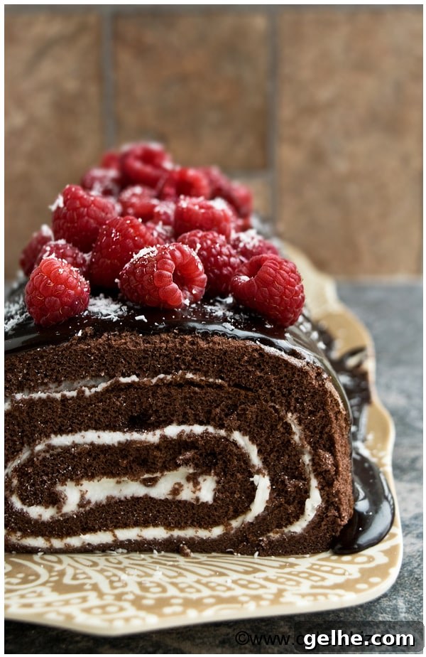 Closeup Shot of Chocolate Swiss Roll cake on Brown Tray on Rustic Background