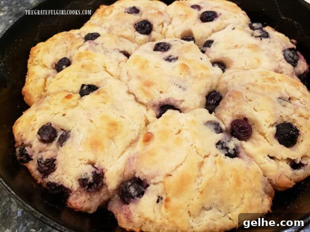 Baked blueberry biscuits have absorbed butter and are golden brown when done.