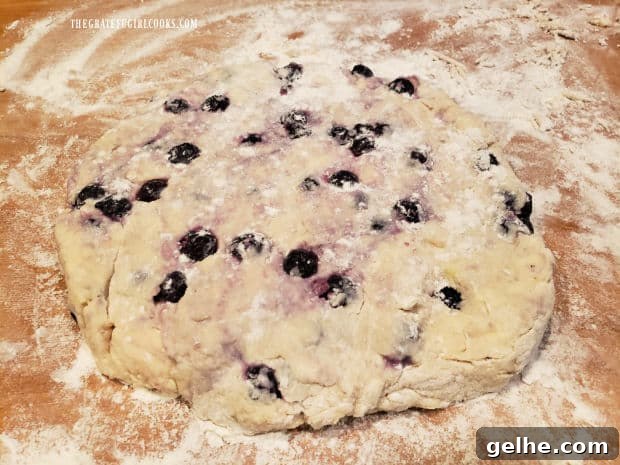 Dough is gently kneaded then it's ready for biscuits to be cut out.