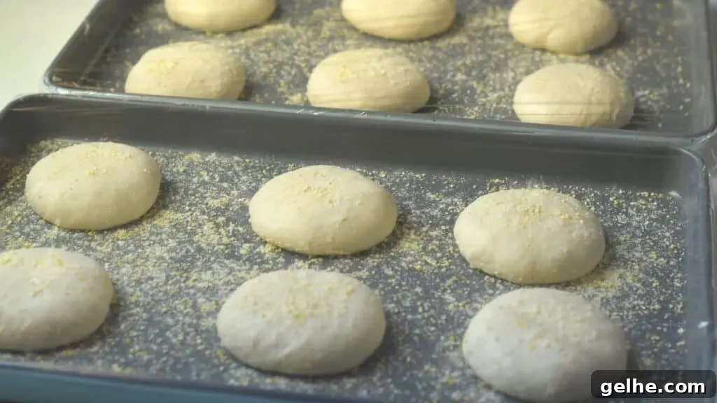 Homemade English Muffins