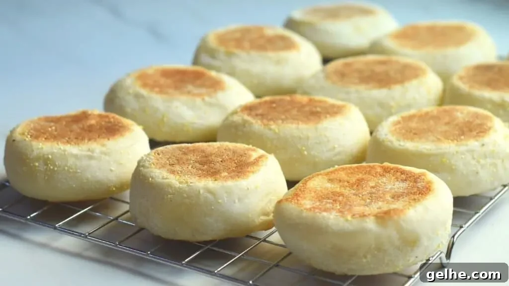 Homemade English Muffins