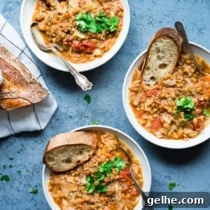 Vegan Instant Pot Lentil and Cabbage Soup