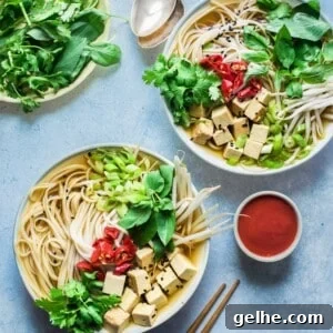 Instant Pot Vegan Pho (from The Vegan Instant Pot Cookbook)