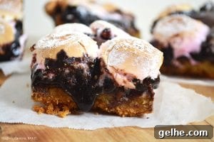 Brookie S'mores Bars Recipe: Gooey Chocolate, Brownie & Graham Bars 2 Brookie S'mores Bars are a combination of soft and chewy chocolate chip cookies and rich and fudgy brownies sandwiched in between crushed digestive biscuits (Graham Crackers) and a layer of toasted marshmallows.